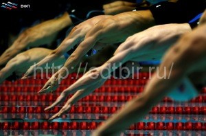 Swimming Russian championship 2016.